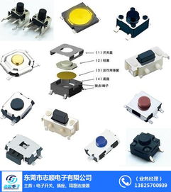 東莞市志順電子 專業(yè)供應(yīng)硅膠輕觸開關(guān)，連接珠海等地的可靠批發(fā)合作伙伴